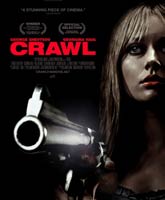 Crawl /  